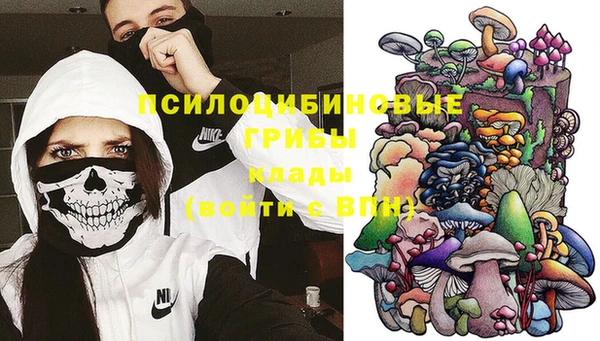 гашиш Няндома