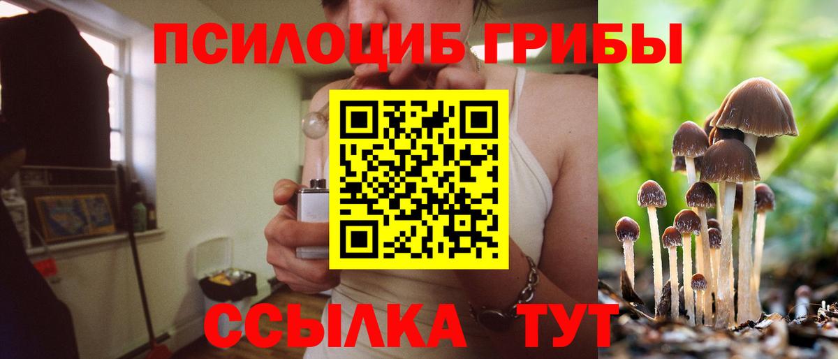 Псилоцибиновые грибы Psilocybe  Вход с VPN  Курск 