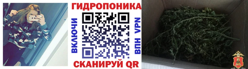 Бошки марихуана AK-47  даркнет сайт  Курск 